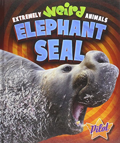 Elephant Seal by Lisa Owings