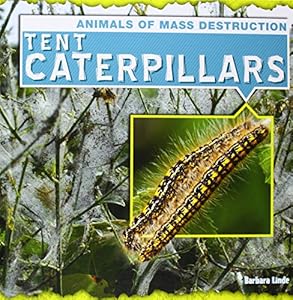 Tent Caterpillars
