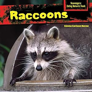 Raccoons