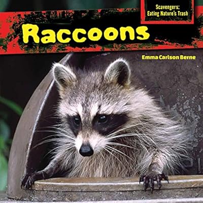 Raccoons