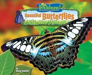 Beautiful Butterflies (No Backbone! the World of Invertebrates)