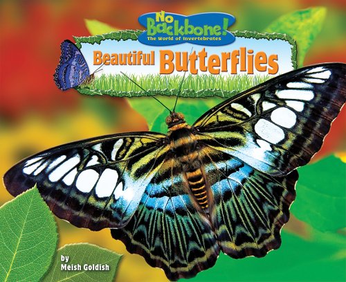 Beautiful Butterflies (No Backbone! the World of Invertebrates) by Meish Goldish