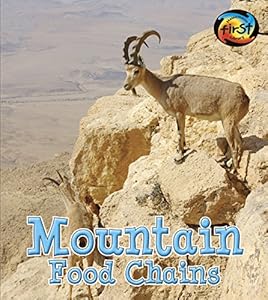 Mountain Food Chains
