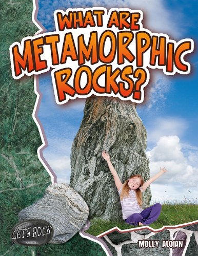 What Are Metamorphic Rocks? by Molly Aloian