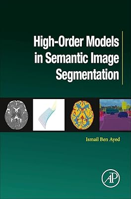 High-Order Models in Semantic Image Segmentation