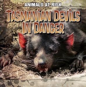 Tasmanian Devils in Danger