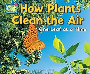 How Plants Clean the Air: One Leaf at a Time