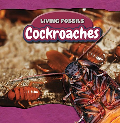 Cockroaches by Sarah Machajewski