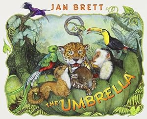 The Umbrella: board book
