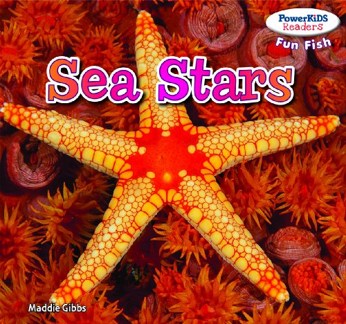 Sea Stars by Maddie Gibbs