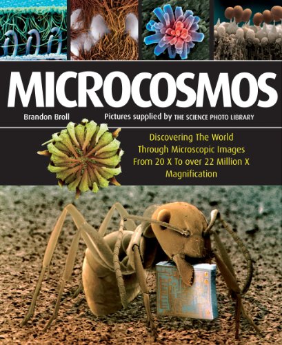 Microcosmos: Discovering The World Through Microscopic Images From 20 X to Over 22 Million X Magnification by Brandon Broll