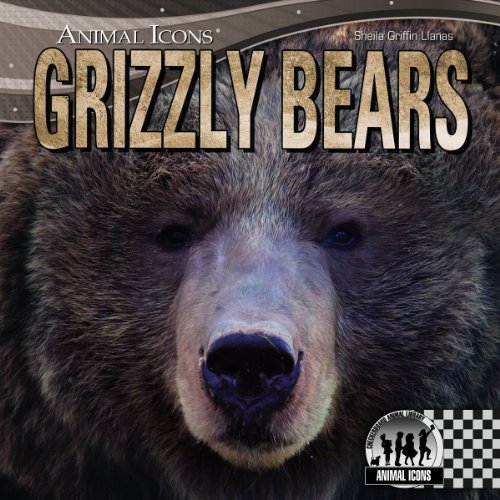 Grizzly Bears by Sheila Griffin Llanas