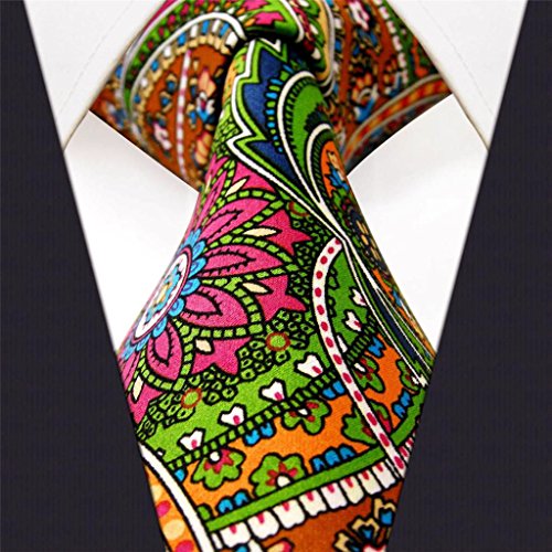 Shlax & Wing Neckties Ties Paisley Multi-color Silk Printed Wedding