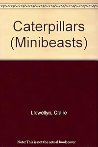 Caterpillars (Minibeasts)