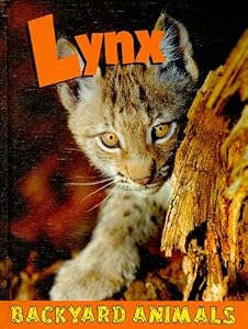 Lynx