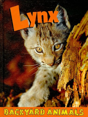 Lynx by Blaine Wiseman