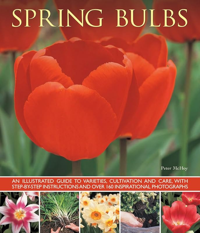 Spring Bulbs: An Illustrated Guide To Varieties, Cultivation And Care, With Step-By-Step Instructions And Over 160 Inspirational Photographs by Peter McHoy