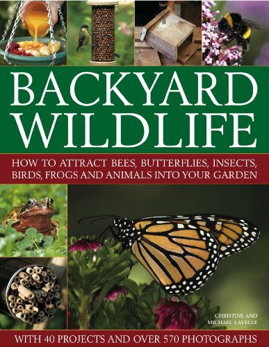 Backyard Wildlife: How to attract bees, butterflies, insects, birds, frogs and animals into your garden by Christine Lavelle