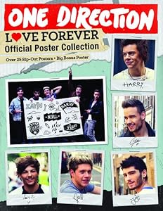 One Direction 2015 4th Edition Poster Collection by by Workman Publishing