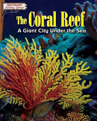 The Coral Reef: A Giant City Under the Sea by Stephen Person