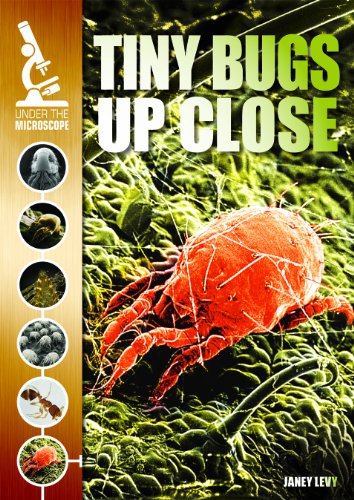 Tiny Bugs Up Close by Janey Levy