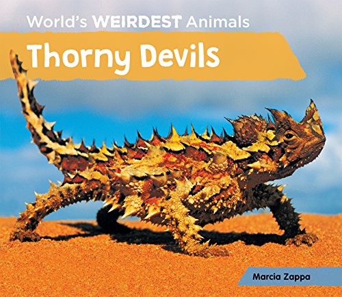 Thorny Devils by Marcia Zappa