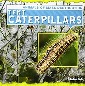 Tent Caterpillars