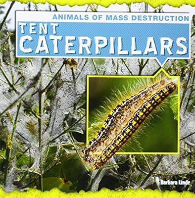 Tent Caterpillars