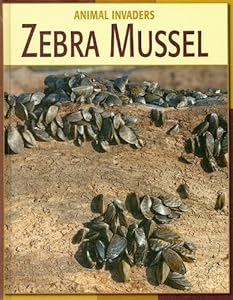 Zebra Mussel