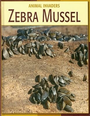 Zebra Mussel