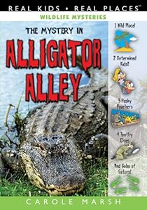 The Mystery in Alligator Alley