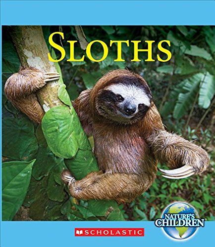 Sloths by Josh Gregory