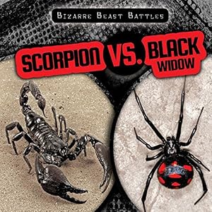 Scorpion VS. Black Widow