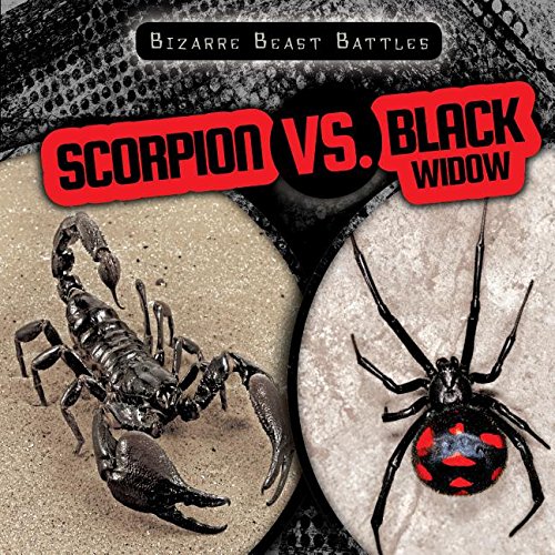 Scorpion VS. Black Widow by Caitie McAneney