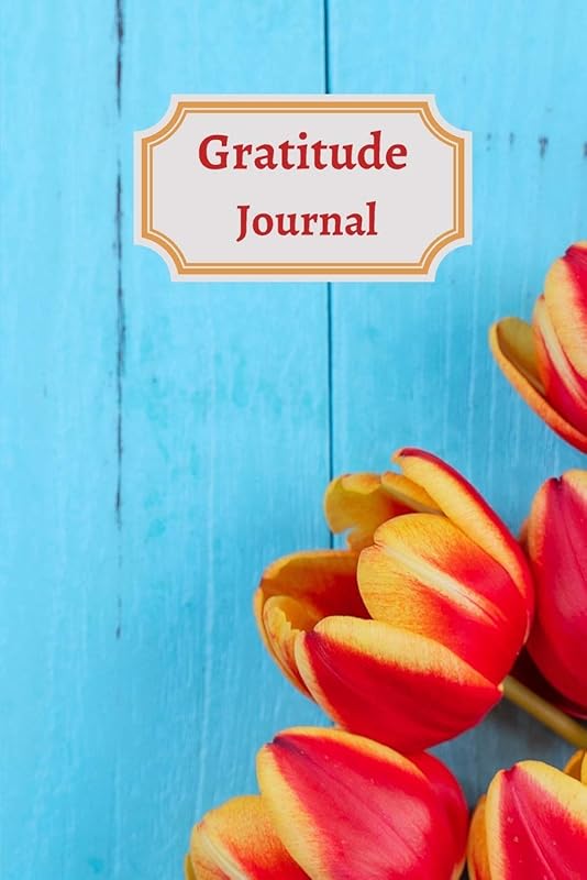 Gratitude Iournal for teens and adults by unknown author