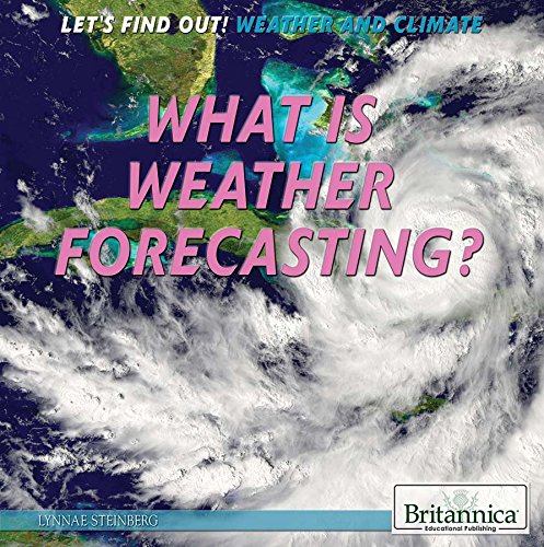 What Is Weather Forecasting? by Lynnae D. Steinberg