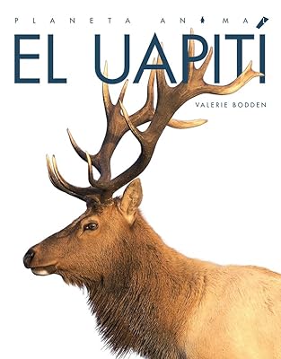 El uapití/ Elk (Planeta Animal/ Amazing Animals) (Spanish Edition)