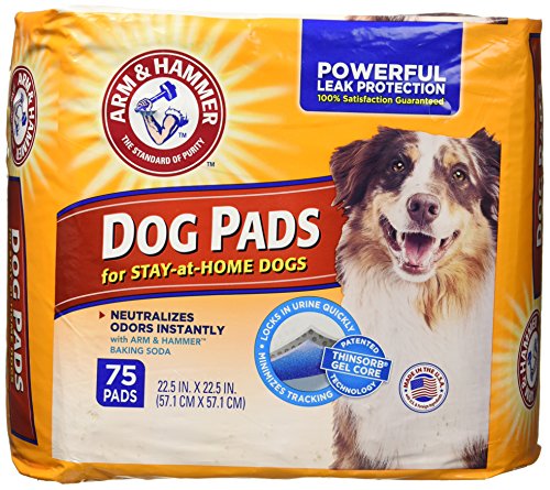 Arm & Hammer Ultra Absorbent Adult Dog Pads, 75 count