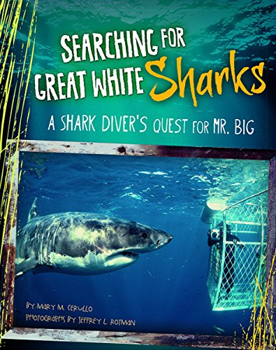 Searching for Great White Sharks: A Shark Diver's Quest for Mr. Big by Mary M Cerullo