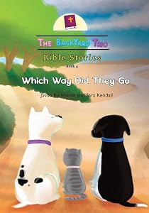 Which Way Did They Go (The Backyard Trio Bible Stories) by Jason Burkhardt