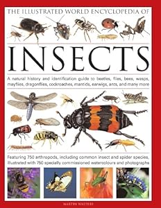The Illustrated World Encyclopedia of Insects: A natural history and identification guide to beetles, flies, bees wasps, springtails, mayflies, ... crickets, bugs, grasshoppers, fleas, spide by Martin Walters