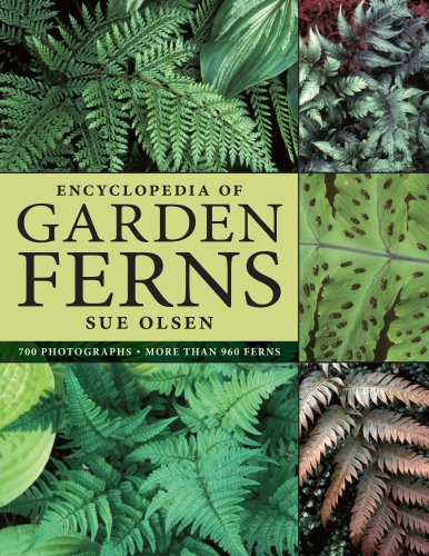 Encyclopedia of Garden Ferns by Sue Olsen