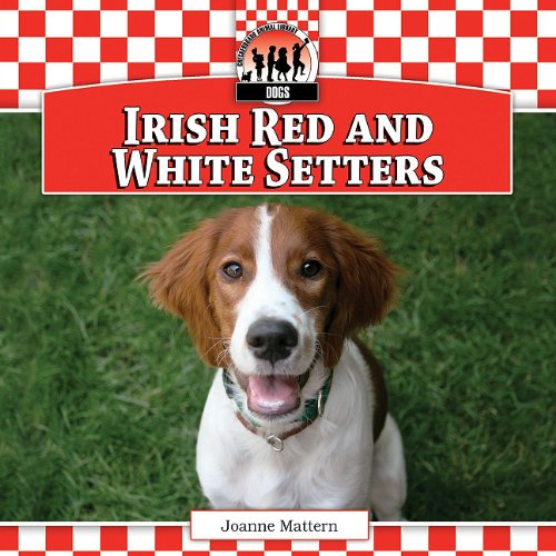 Irish Red and White Setters by Joanne Mattern