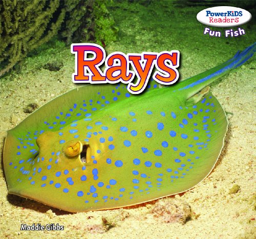 Rays by Maddie Gibbs