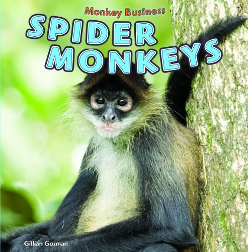 Spider Monkeys by Gillian Gosman