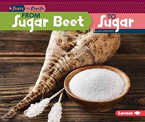 From Sugar Beet to Sugar by Lisa Owings