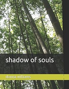 shadow of souls
