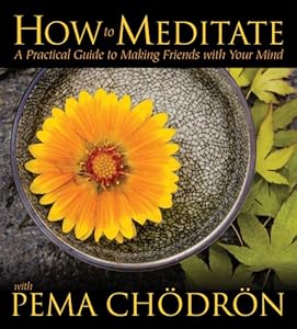 How to Meditate with Pema Chodron: A Practical Guide to Making Friends with Your Mind by Pema Chodron