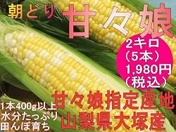 スイーツとうもろこし 甘々娘 (かんかんむすめ) 2キロ 極上LLAサイズ（1本400グラム以上）5本入り 山梨県市川三郷町大塚産