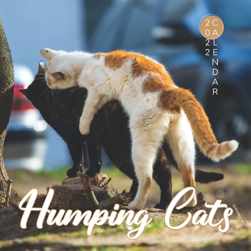 Humping Cats Calendar: Hilarious Calendar for Adults with Funny Pictures - Animal Lovers by Funny Guys Calendar